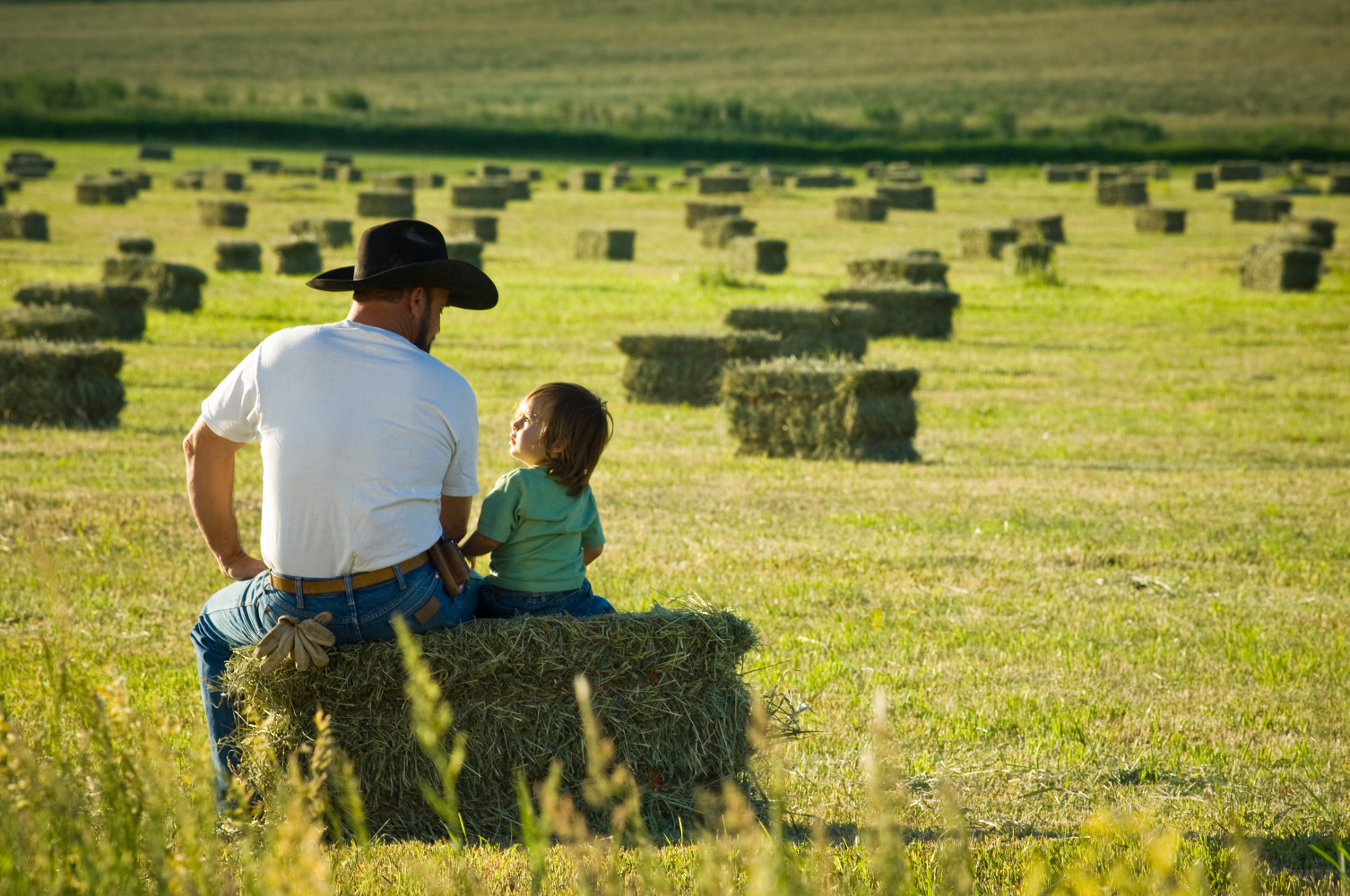 Farming family store