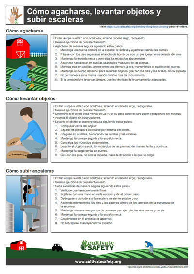 Click here to open Bending, Lifting, and Climbing Fact Sheet PDF in Spanish.